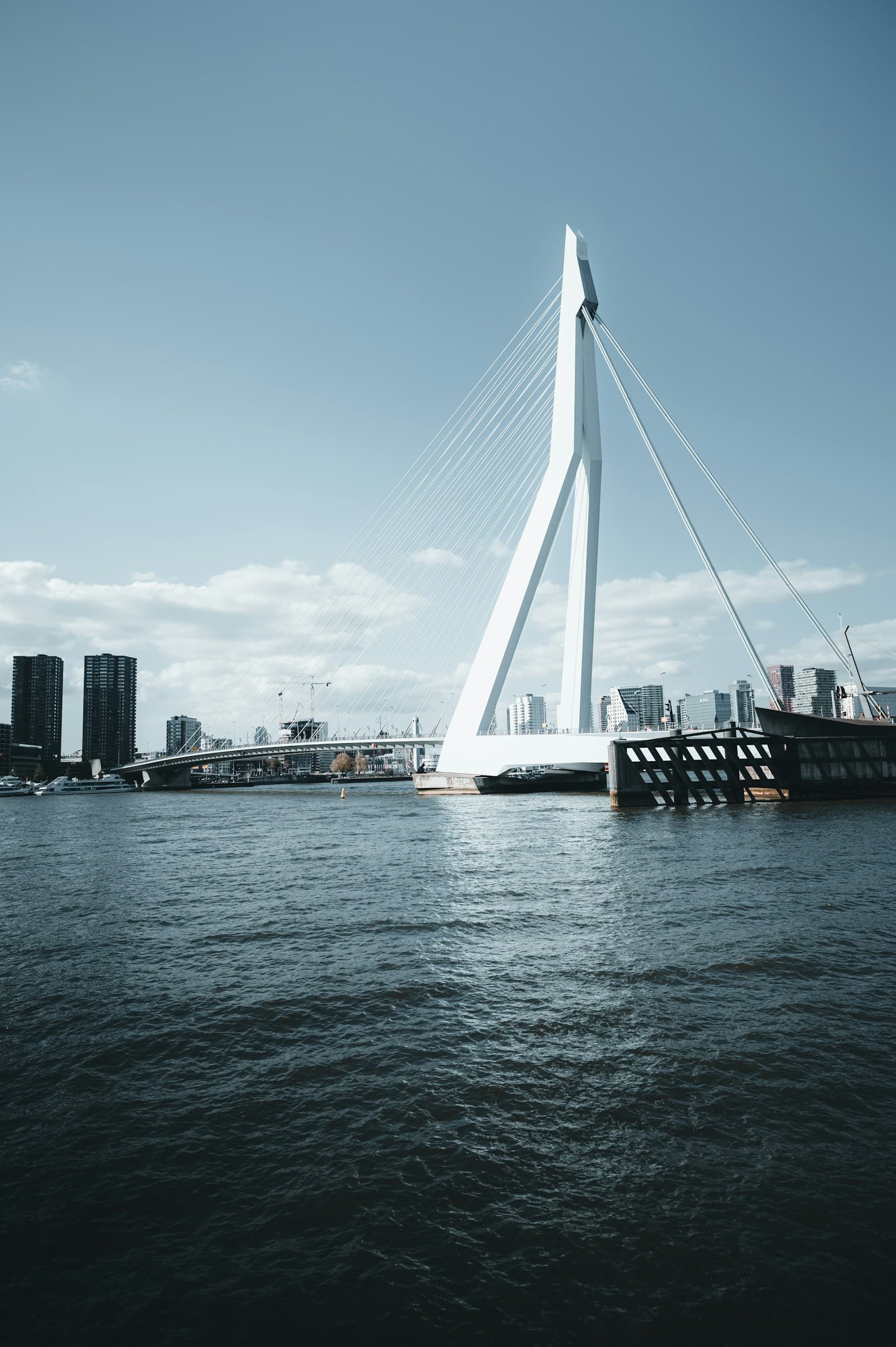 De Erasmusbrug in Rotterdam.